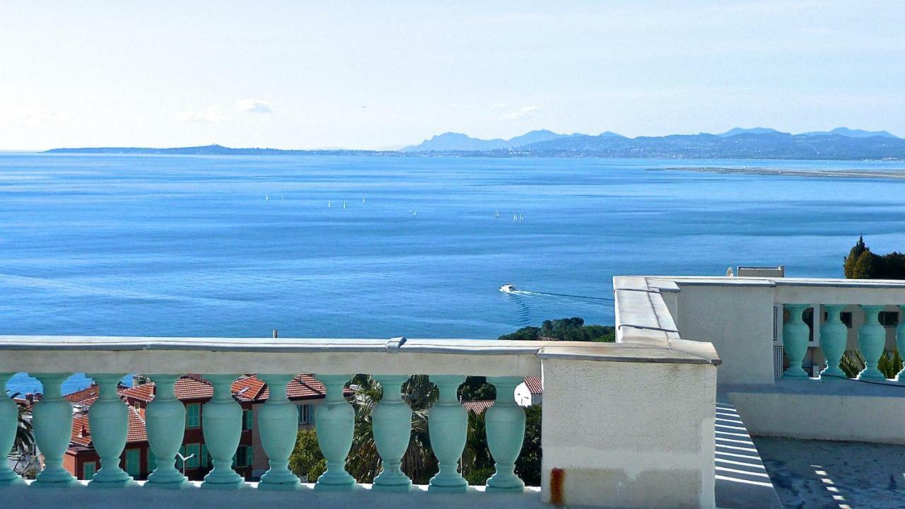 Dracoena * Nizza